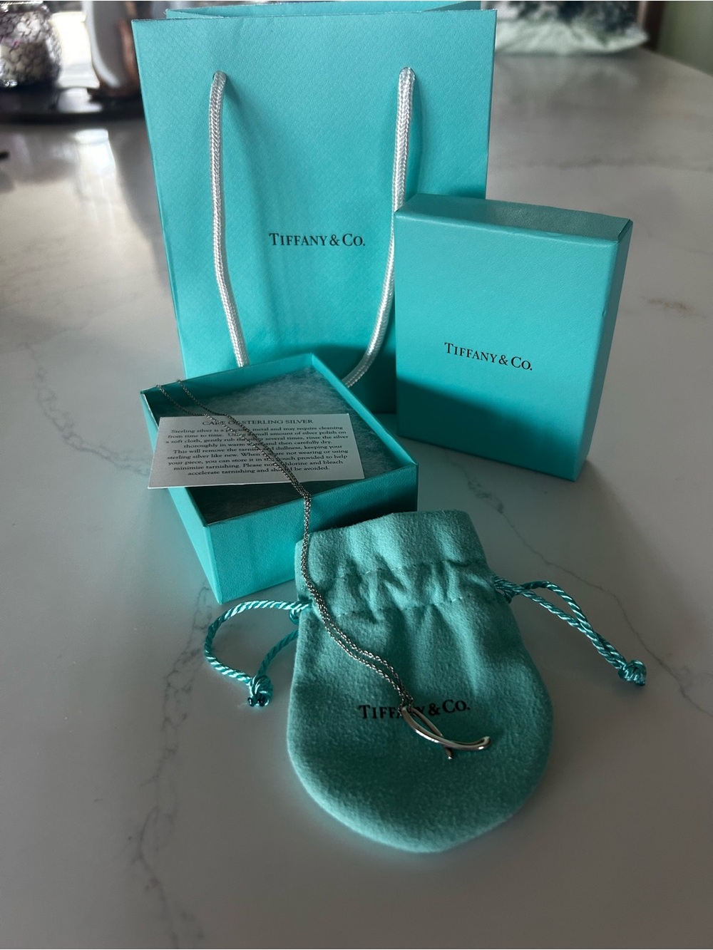 Tiffany & Co. L Pendant Necklace with Signature Blue Pouch